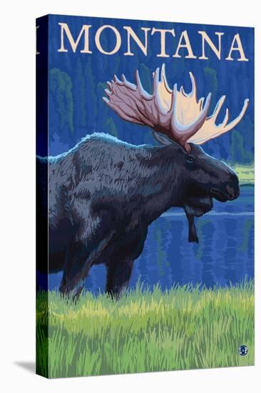 Stretched Canvas Print, , large