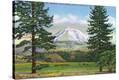 Stretched Canvas Print