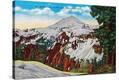 Stretched Canvas Print
