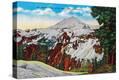 Stretched Canvas Print