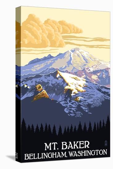 Stretched Canvas Print, , large