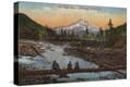 Stretched Canvas Print