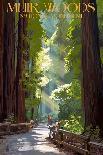 Redwoods State Park - Pathway in Trees-Lantern Press-Art Print