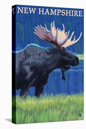 Stretched Canvas Print, , large