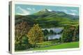 Stretched Canvas Print