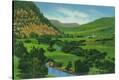 Stretched Canvas Print