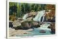 Stretched Canvas Print