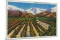 Premium Giclee Print