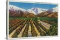 Stretched Canvas Print