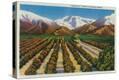 Stretched Canvas Print