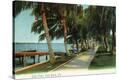 Stretched Canvas Print