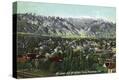 Stretched Canvas Print