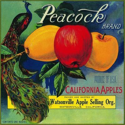Print of Apples, Cortland (1930) Poster on Vintage Visualizations