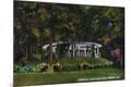 Premium Giclee Print