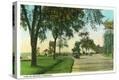 Stretched Canvas Print