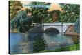 Stretched Canvas Print