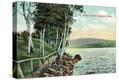 Stretched Canvas Print