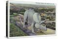 Stretched Canvas Print