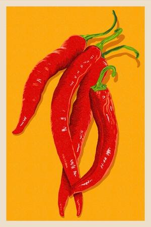 40 x 50 cm Hot Peppers/ Chilli Schoten Poster Art Print Kunstdruck Janette 