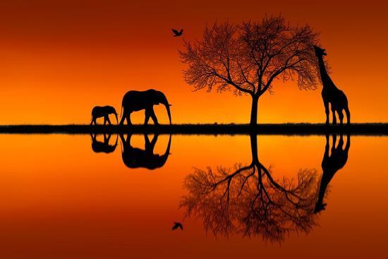 Photographic Print, , large