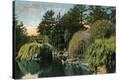 Stretched Canvas Print