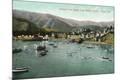 Premium Giclee Print