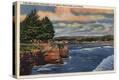Stretched Canvas Print