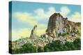 Stretched Canvas Print