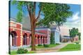 Stretched Canvas Print