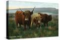 Stretched Canvas Print