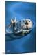 Premium Giclee Print