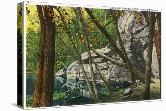 Stretched Canvas Print, , large