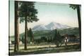 Stretched Canvas Print