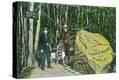 Stretched Canvas Print