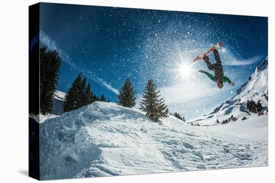 Stretched Canvas Print, , large