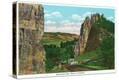 Stretched Canvas Print