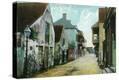 Stretched Canvas Print