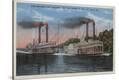 Stretched Canvas Print