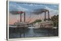 Stretched Canvas Print