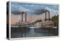 Stretched Canvas Print