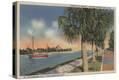 Stretched Canvas Print