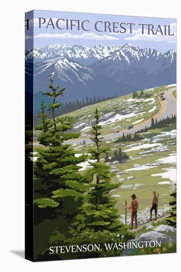 Stretched Canvas Print, , large
