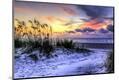 Premium Photographic Print