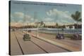 Stretched Canvas Print