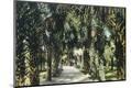 Premium Giclee Print