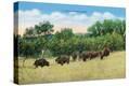 Stretched Canvas Print