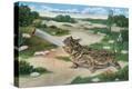 Stretched Canvas Print