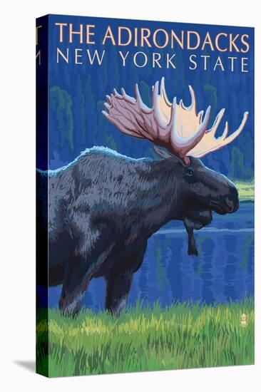 Stretched Canvas Print, , large