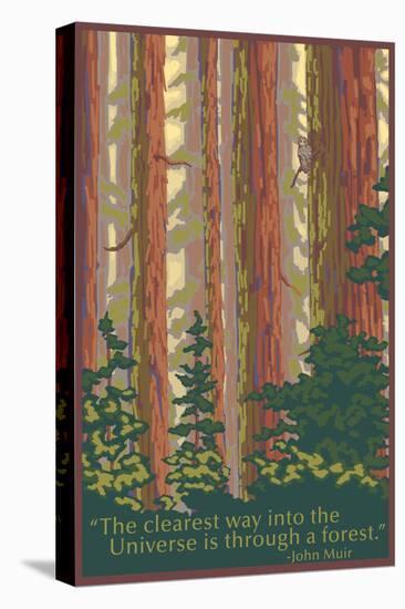 Stretched Canvas Print, , large