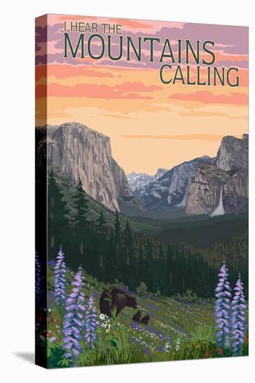 Stretched Canvas Print, , large